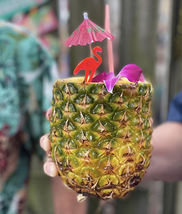 Kava Cabana Bar
